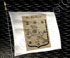 drapeau-DE MONTLUCON_Auvergne_France