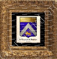 cadre-ancien-or-de CHASTENET de PUYSEGUR_Armagnac_France (1+)