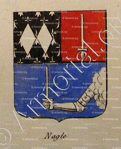 NAGLE