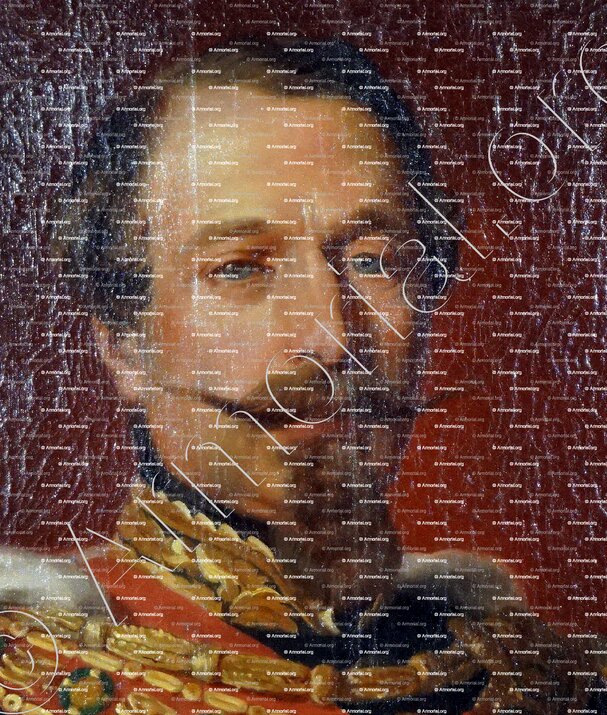 NAPOLÉON III_Conflans (Savoie), musée d'art et d'histoire._France