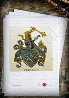 velin-d-Arches-STAEHELIN_Wappenbuch der Stadt Basel . B.Meyer Knaus 1880_Schweiz