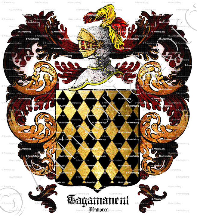 TAGAMANENT_Mallorca_Espña (ii)