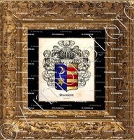 cadre-ancien-or-DRACULESTI_Bucuresti_România (1)