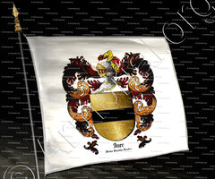 drapeau-INER_Artois Picardie Flandre_France (ii)