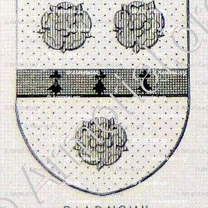 AUROUX_Armorial du Bourbonnais (Cte G. de Soultrait, 1857)_France (ii)