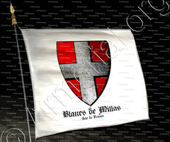 drapeau-BLANES de MILLAS_Isle de France_France (i)