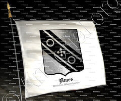 drapeau-AMES_Braintree, Massachusetts_United States