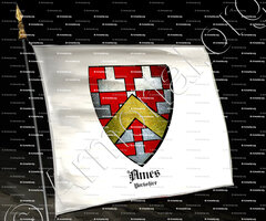 drapeau-AMES_Yorkshire_England (1)
