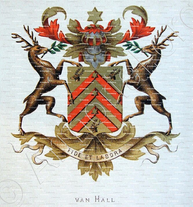 van HALL_Wapenboek van den Nederlandschen Adel. (J.B. Rietstap)_ Nederland