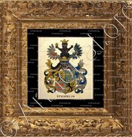 cadre-ancien-or-STEHELIN_Wappenbuch der Stadt Basel . B.Meyer Knaus 1880_Schweiz 