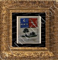 cadre-ancien-or-NOUGARDE DE FAYET_Noblesse d'Empire._France