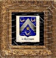 cadre-ancien-or-de TARRAGON_Orléanais_France