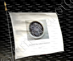 drapeau-ALLARD DU HAUT-PLÉSSIS_Anjou_France