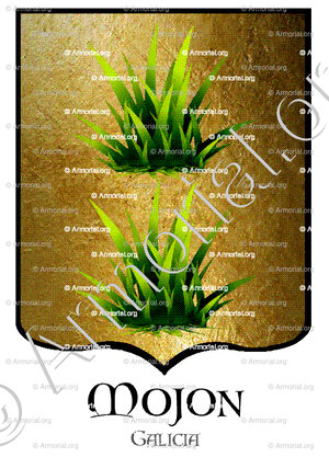 MOJON_Galicia_España