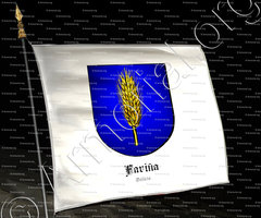 drapeau-FARIÑA_Galicia_España (2)