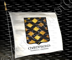 drapeau-CHAMPROND_Orléanais, Vendômois, Tigny, Rachar._France