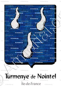 TURMENYES DE NOINTEL