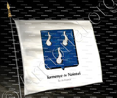 drapeau-TURMENYES DE NOINTEL_Ile de France_France (3)