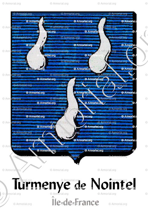 TURMENYES DE NOINTEL_Ile de France_France (3)