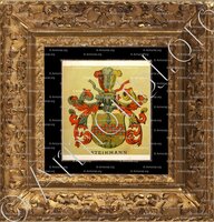 cadre-ancien-or-STEINMANN_Wappenbuch der Stadt Basel . B.Meyer Knaus 1880_Schweiz 