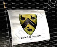drapeau-BABINET de RANCOGNE_Poitou_France (i)
