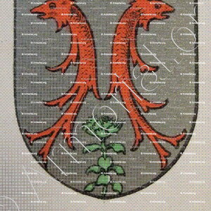 BARDET_Bourbonnais_France (i)