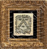 cadre-ancien-or-HENRION baron d'HAUSSONVILLE_Noblesse de Lorraine_France (iii)