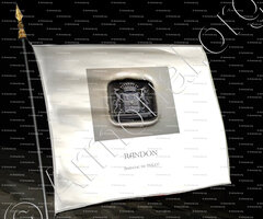drapeau-RANDON_Branche de Pully._France