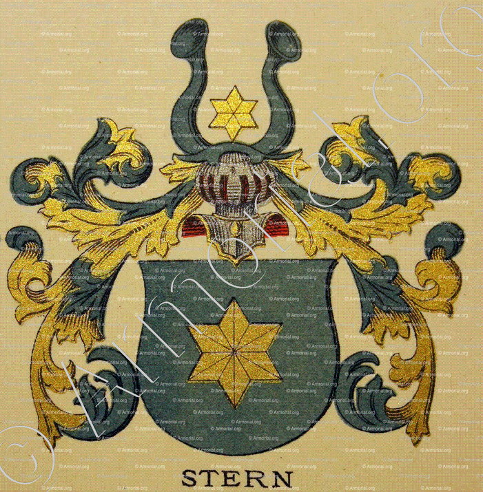 STERN_Wappenbuch der Stadt Basel . B.Meyer Knaus 1880_Schweiz 