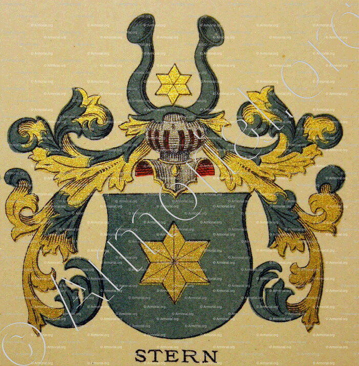 STERN_Wappenbuch der Stadt Basel . B.Meyer Knaus 1880_Schweiz 