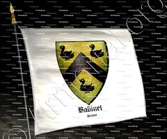 drapeau-BABINET_Poitou_France (i)