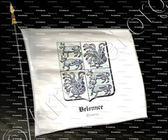 drapeau-BELSUNCE_Navarra_España