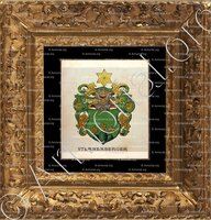 cadre-ancien-or-STERNENBERGER_Wappenbuch der Stadt Basel . B.Meyer Knaus 1880_Schweiz 