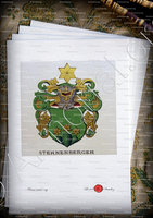 velin-d-Arches-STERNENBERGER_Wappenbuch der Stadt Basel . B.Meyer Knaus 1880_Schweiz 
