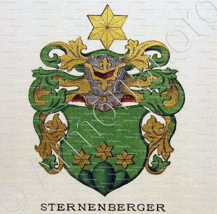 STERNENBERGER_Wappenbuch der Stadt Basel . B.Meyer Knaus 1880_Schweiz 