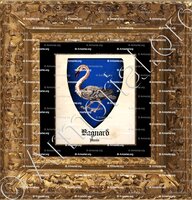 cadre-ancien-or-BAGNARD_Aunis_France (i)