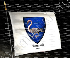 drapeau-BAGNARD_Aunis_France (i)