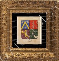 cadre-ancien-or-PAJOL_Noblesse d'Empire._France