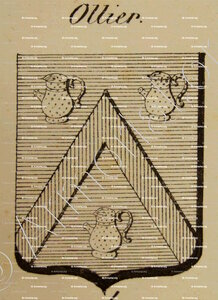 OLLIER
