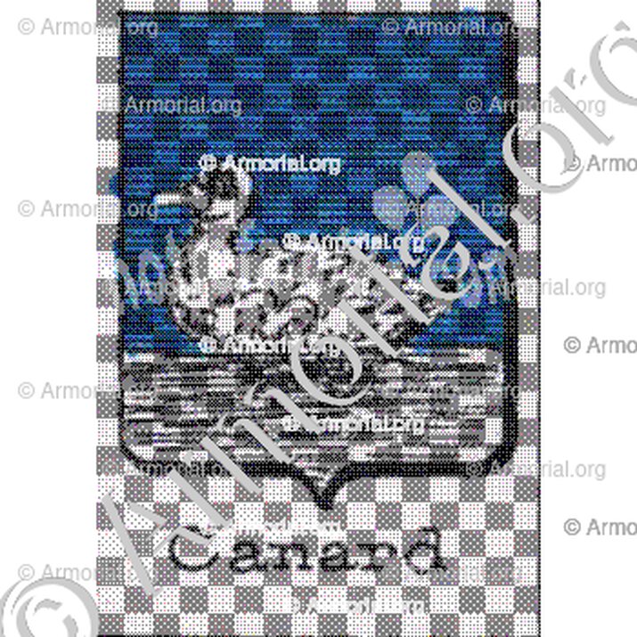 Canard__