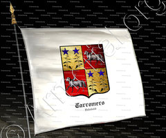 drapeau-CARROMERO_Valladolid_España (2)