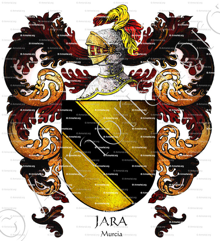 JARA_Murcia_España (iii)
