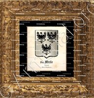 cadre-ancien-or-Van MELLE_Zeeland. Ost-Vlanderen_Nederland. België (2)