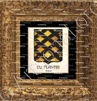 cadre-ancien-or-Du PLANTIS_Anjou_France