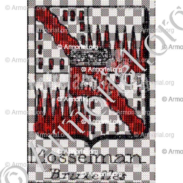 Mosselman__