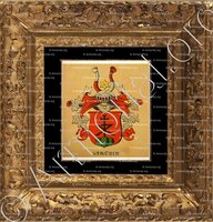 cadre-ancien-or-STRÜBIN_Wappenbuch der Stadt Basel . B.Meyer Knaus 1880_Schweiz 