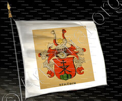 drapeau-STRÜBIN_Wappenbuch der Stadt Basel . B.Meyer Knaus 1880_Schweiz 