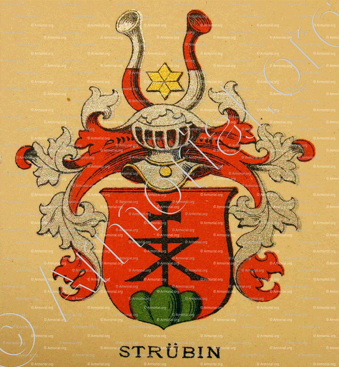 STRÜBIN_Wappenbuch der Stadt Basel . B.Meyer Knaus 1880_Schweiz 
