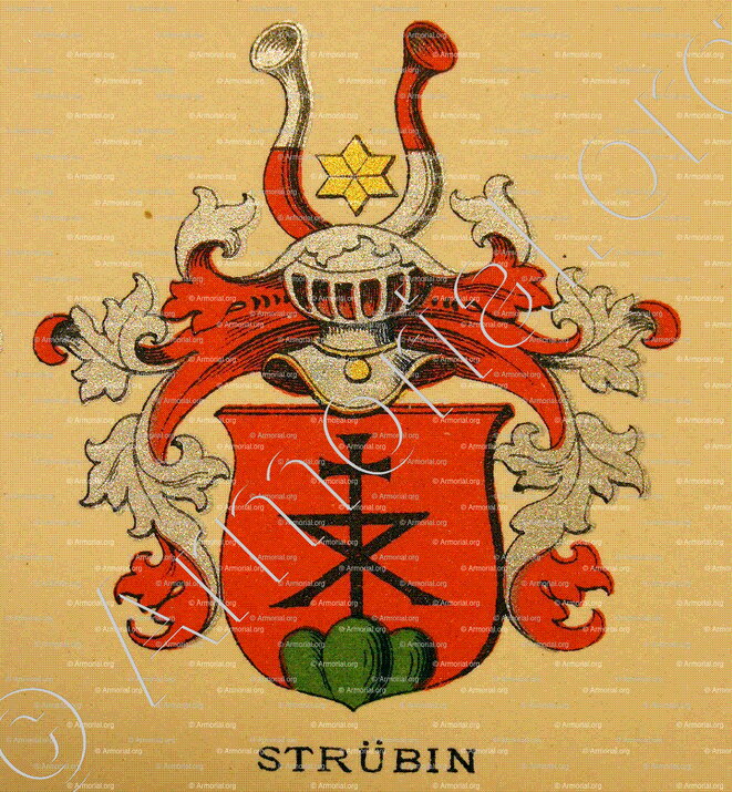 STRÜBIN_Wappenbuch der Stadt Basel . B.Meyer Knaus 1880_Schweiz 