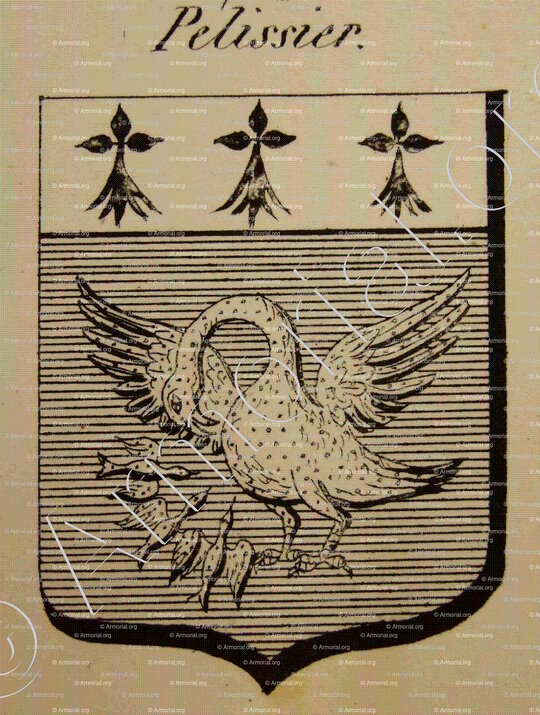 PELISSIER_Auvergne_France